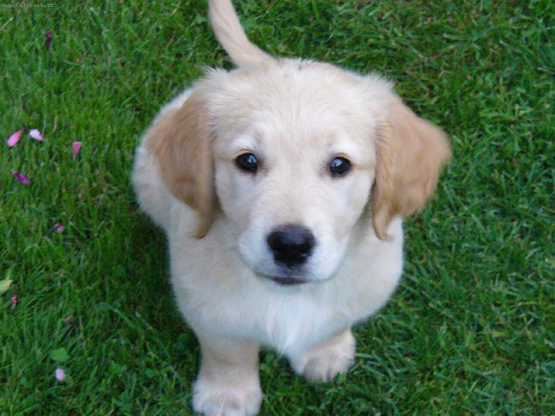 Foto: kuk!to jsem j� Akim