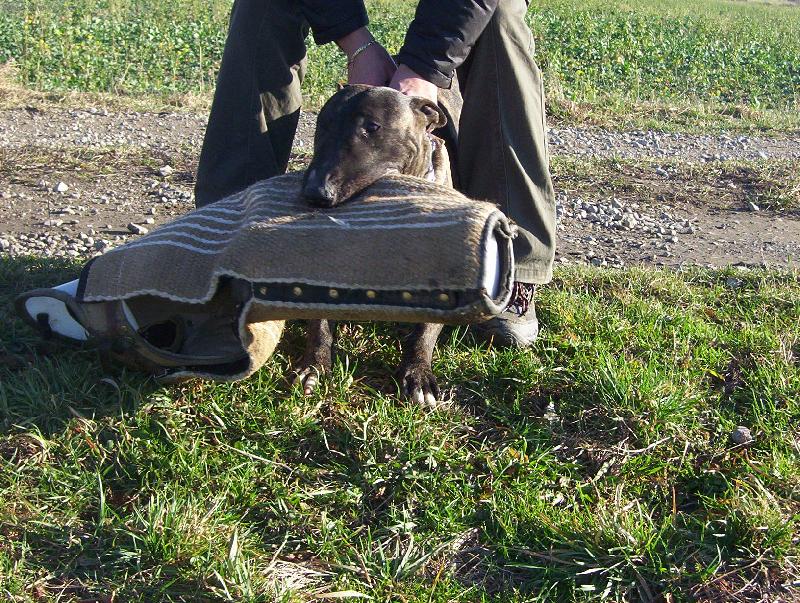 Foto: Bul�k-to je moje....