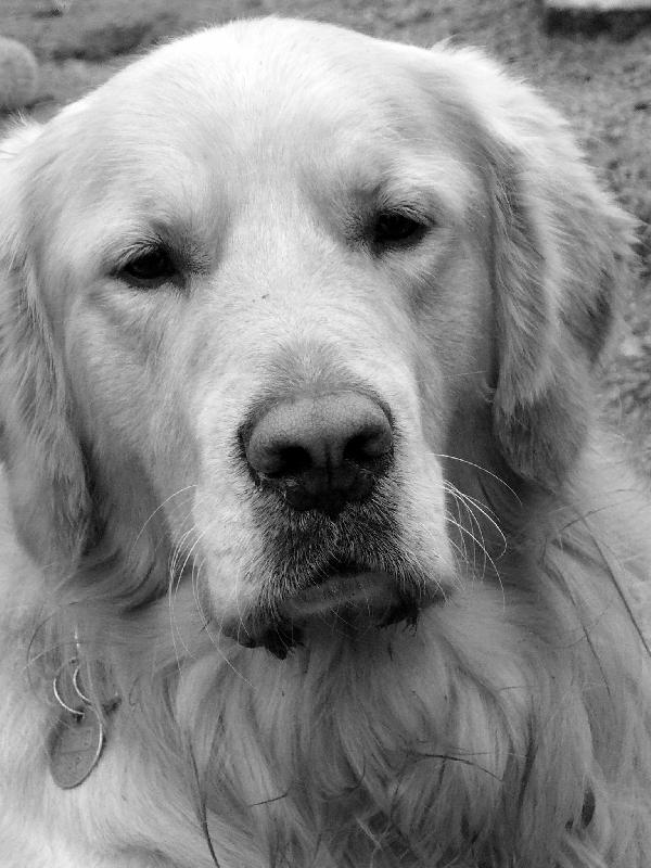 Foto: Jak na ob�anku-Buddy