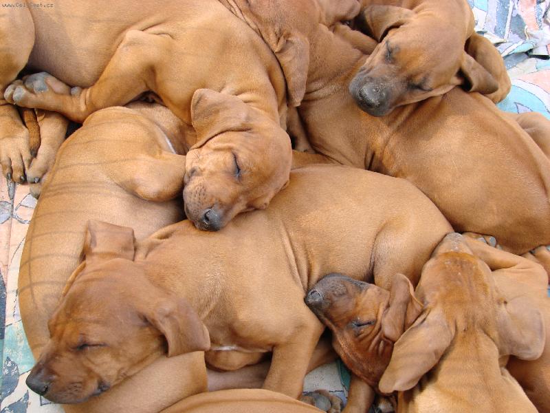 Foto: Tulen� �t���tek