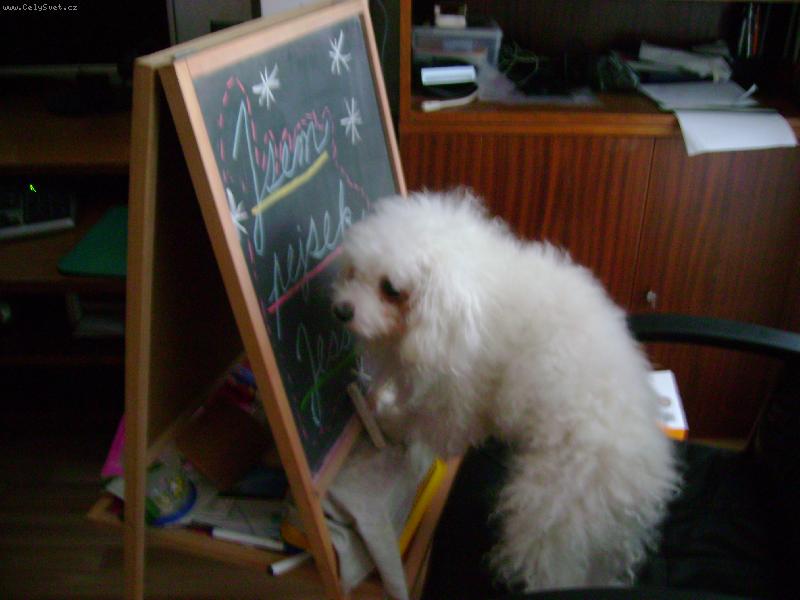 Foto: p�u na tabuli