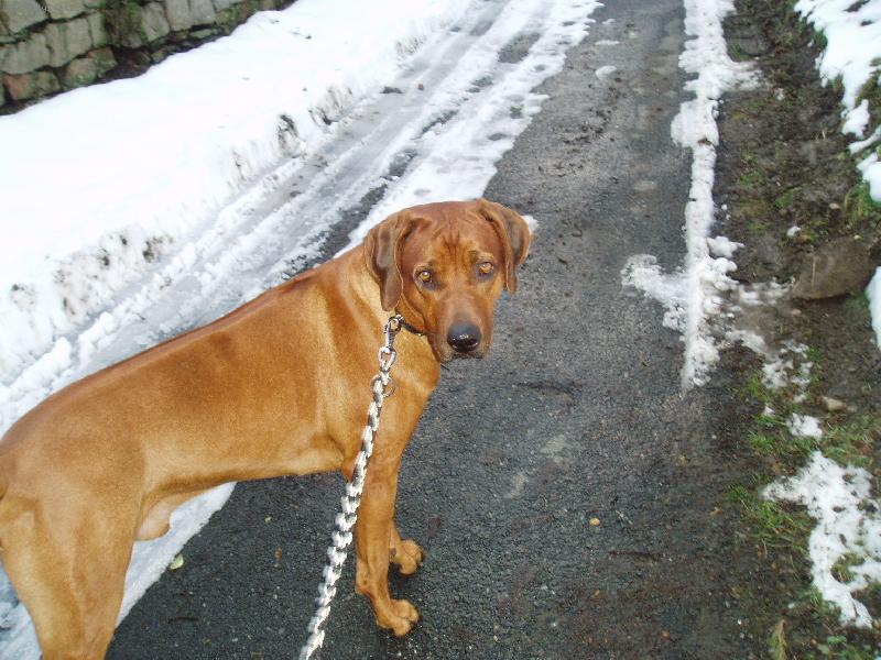 Foto: Richi-venku:-))