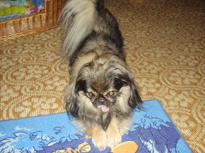 Foto: B��a-Rozcvi�ka...