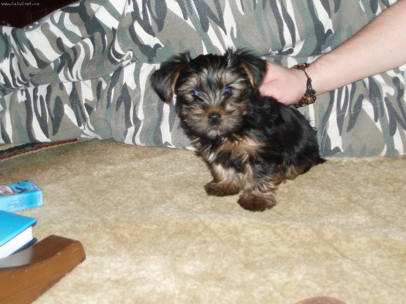 Foto: Cleo-milacik rodiny