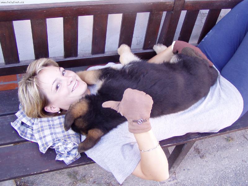 Foto: Kdy� na Jas�ka p�i�la �nava.