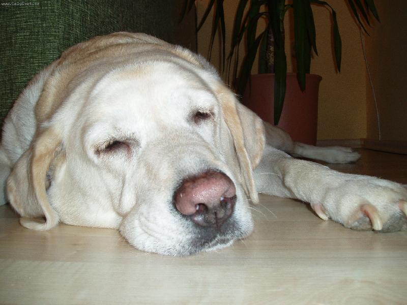 Foto: S�ra-Po vych�zce