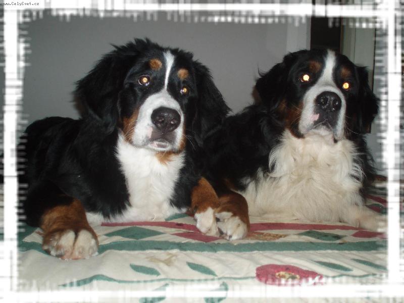 Foto: AJ TY VID͌ TO �O JA???-.. vid� to aj ty???..