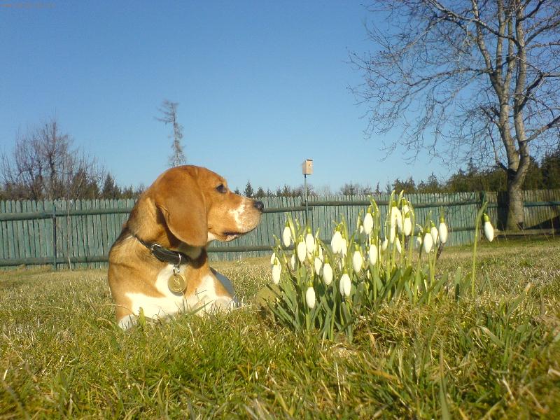 Foto: leno��c� Ed�k-no moc ty sn�enky teda nevon� ....