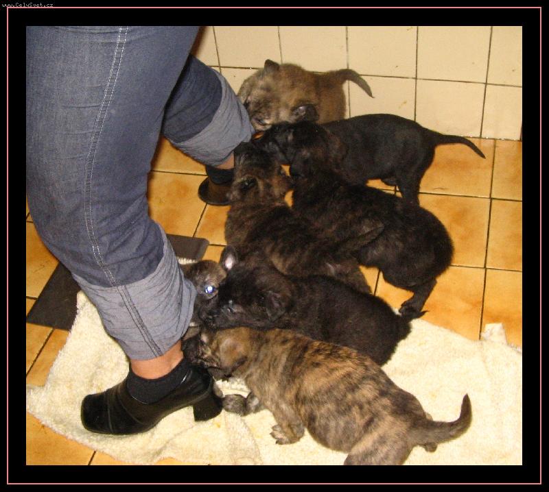 Foto: Dej n�m n�co! Nebo t� sn�me!-:)