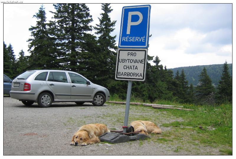 Foto: Reserv� pro ka�d�ho!