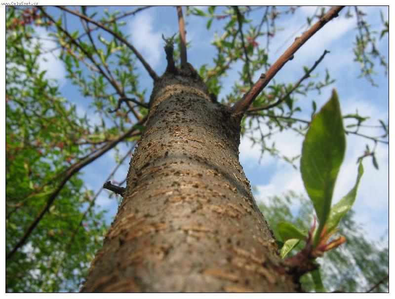 Foto: Strom-Lys� hora