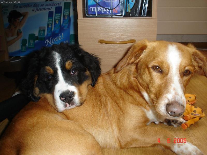 Foto: Edy a Okty-moje zlat��ka..