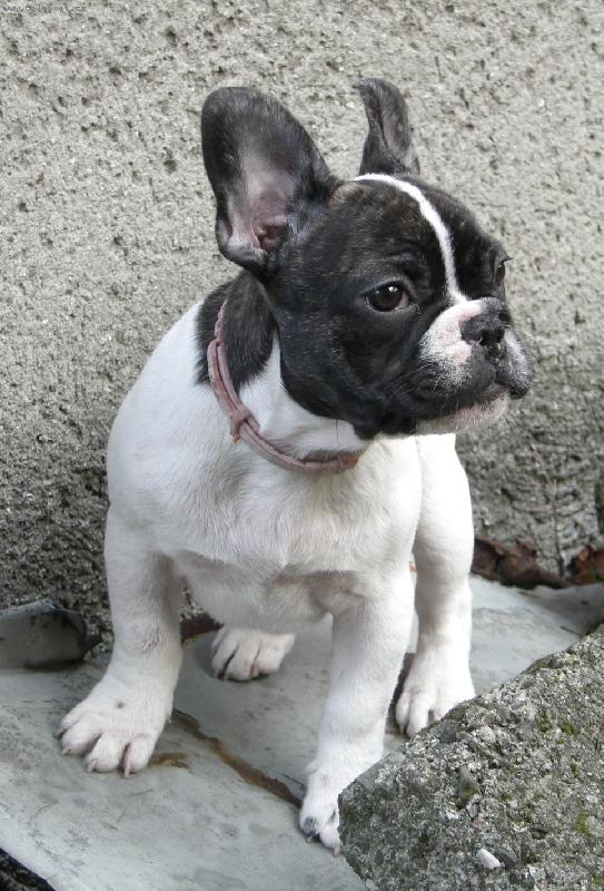 Foto: tady mne nenajdou