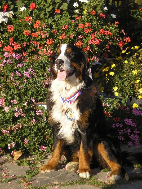 Foto: Argonath Vala�sk� slunce-Slu�� mi to