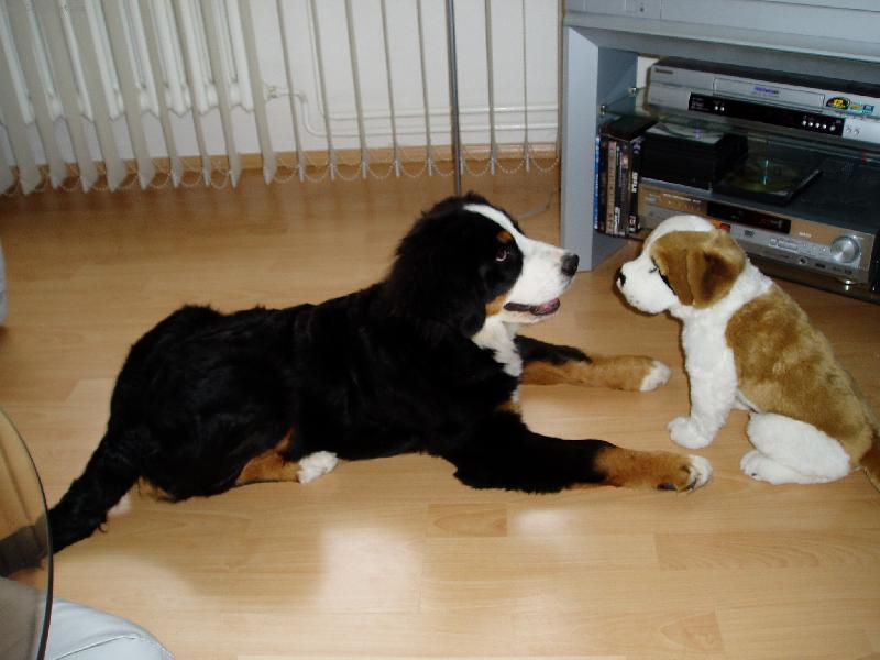 Foto: Z o�� do o��...