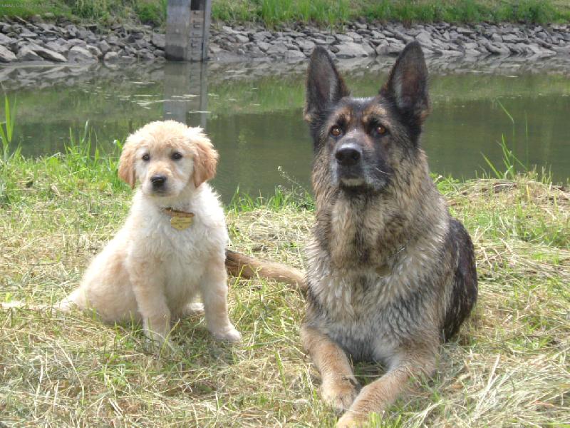 Foto: Erne&Sandy-m�ma a kuka��� dcera