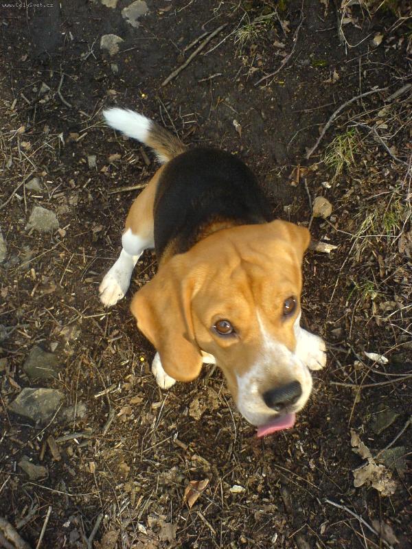 Foto: Eda-m�am to byla ba�ta