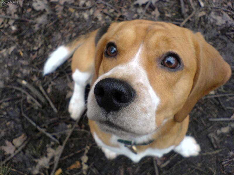 Foto: Eda-promi�, j� necht�l