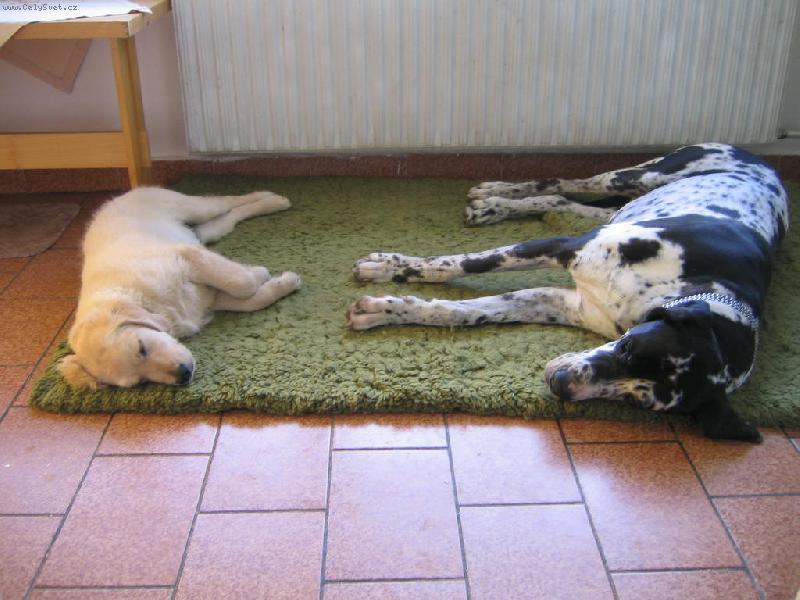 Foto: Ilari a Lotus-dobrou ho�i:-)