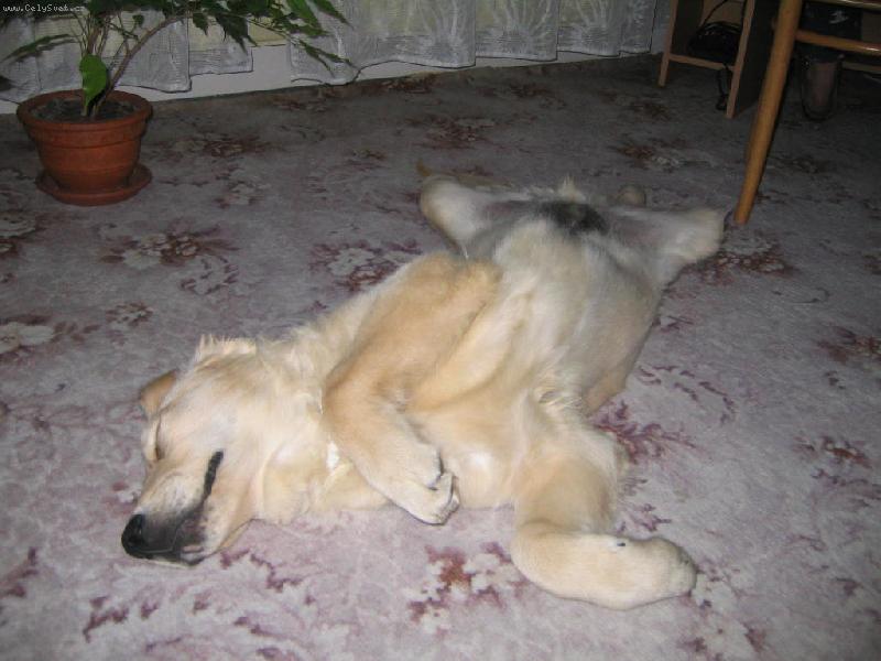 Foto: Ikari-nejlep�� poloha ke sp�nku:-D