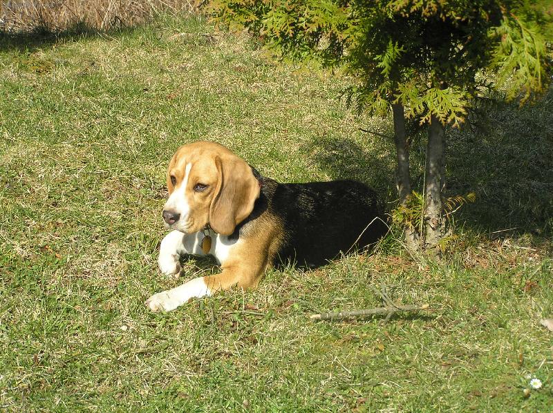 Foto: Kerry-Chata Slovensk� raj-marec07