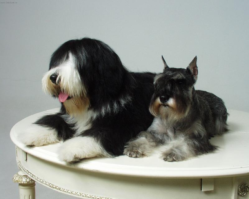 Foto: Lilly a Enny