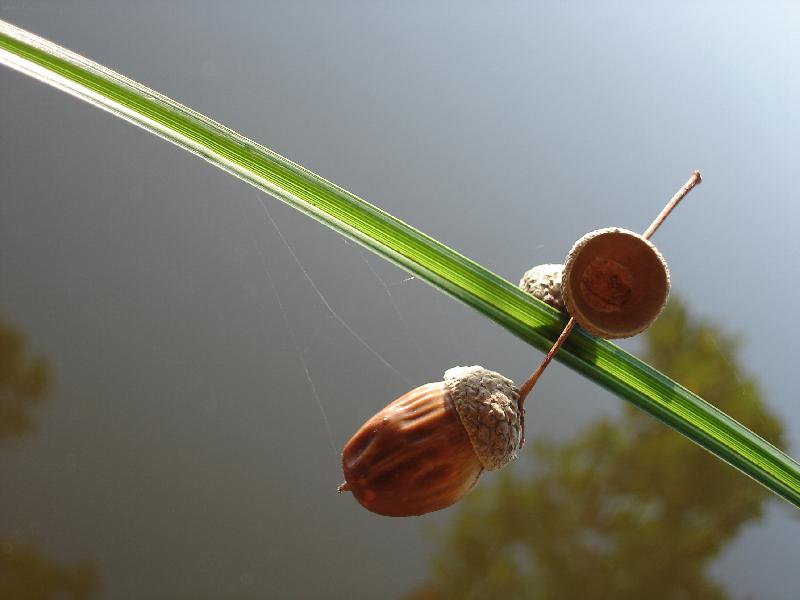 Foto: Nad vodn� hladinou