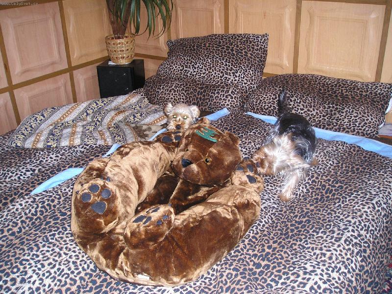 Foto: ob� na�e d�ti