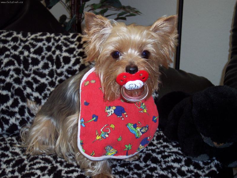 Foto: Chlupat� miminko