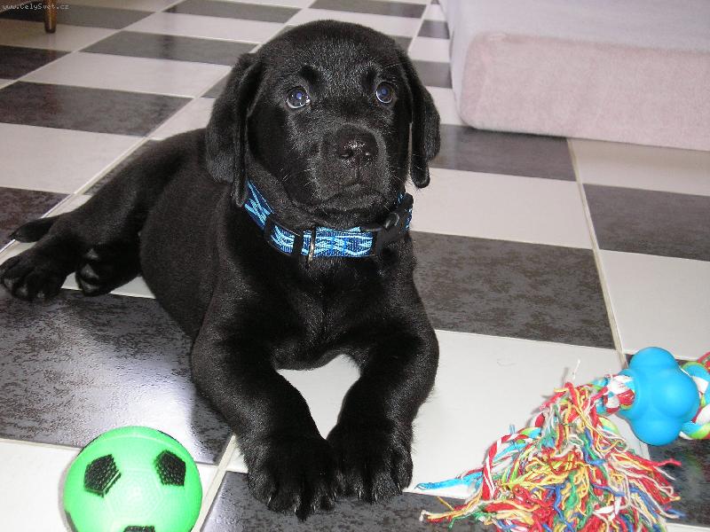 Foto: Arny - �kol�k prvn� t��dy