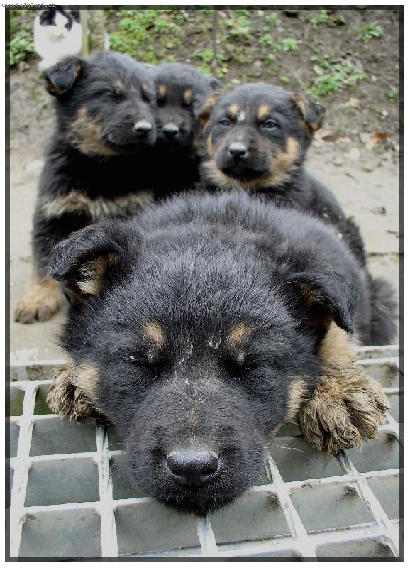 Foto: �t���tka spinkaj