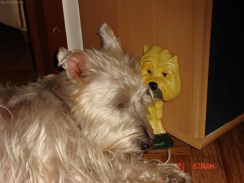 Foto: Alex��ek-Odpo��v�m...neru�it