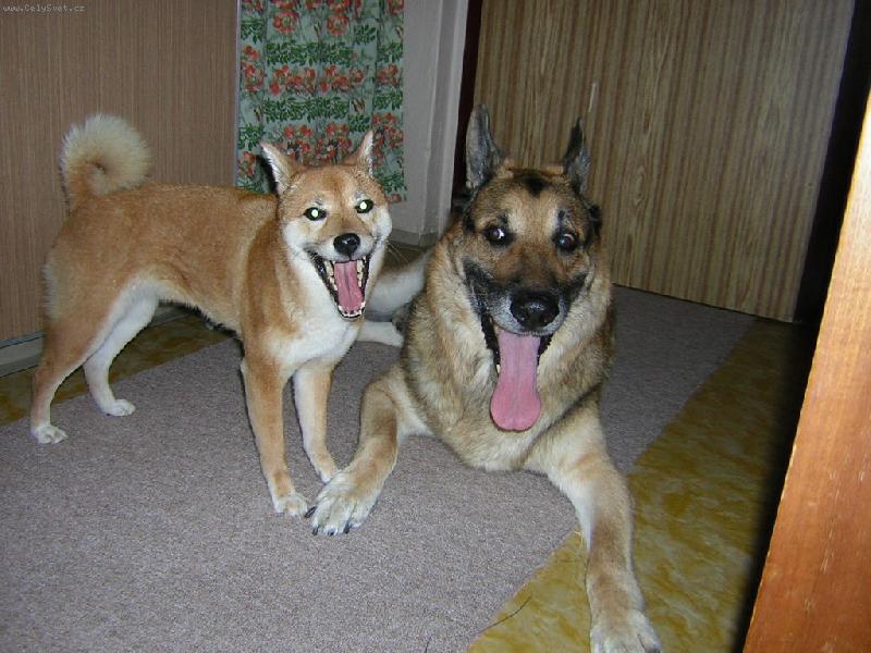 Foto: spole�n� hezky s������r