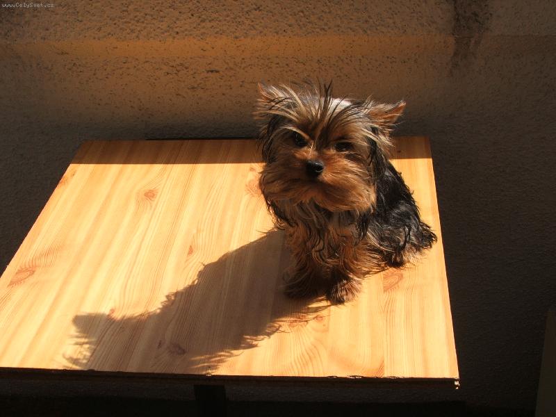 Foto:  chci se koukat...