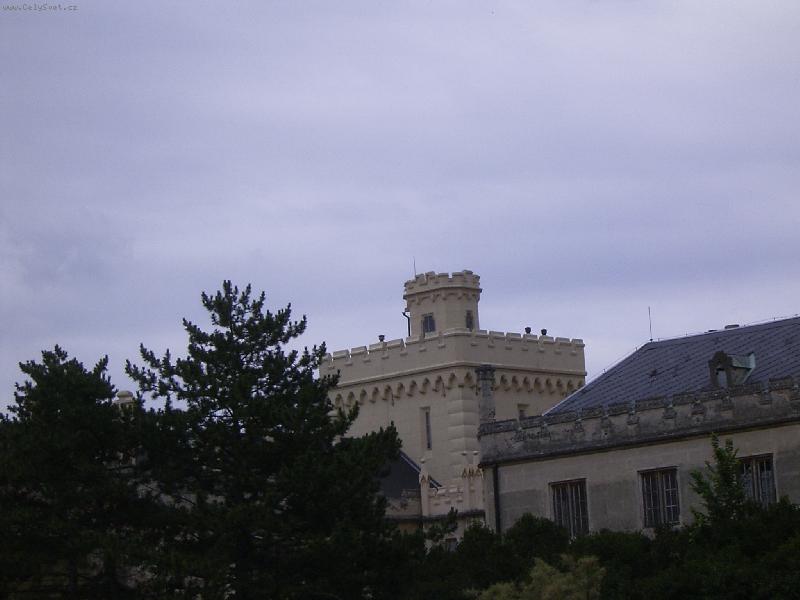 Foto: z�hadn� v�i�ka