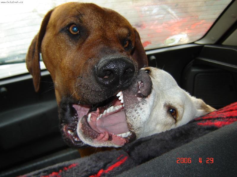 Foto: Ron a Sunny-milujeme se