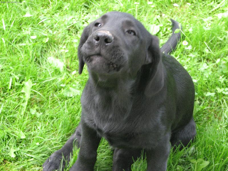 Foto: Le��m nebo b��m?