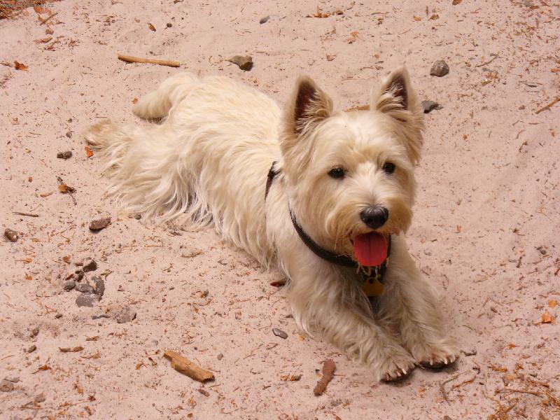 Foto: chvilka na odpo�inek