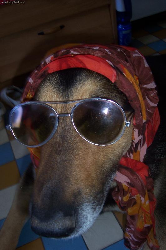 Foto: a ted se m��u slunit