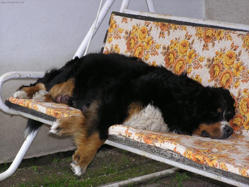 Foto: Veget-Poledn� siesta