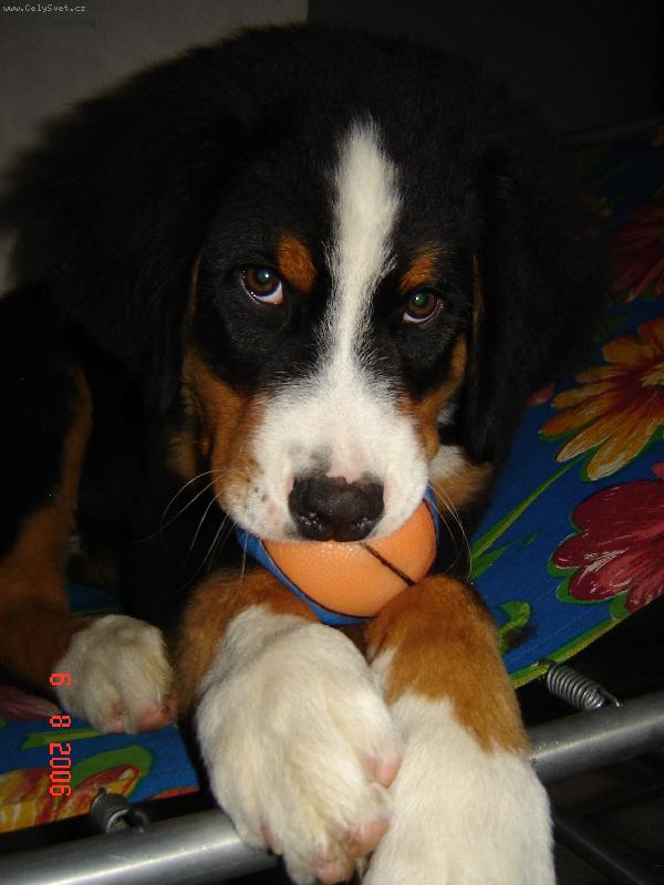 Foto: Smutn� kouk�m :)