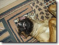 Pěkný úsměv do objektivu