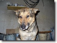 Jak m�m p�ilo�it do toho kotle?