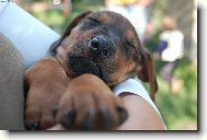 spink�m...