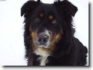 Barunka ale je to k��enec tak se nedivte