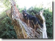 Hned m�m lep�� v�hled..