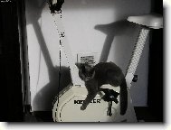 Po nom roku hubnu i j