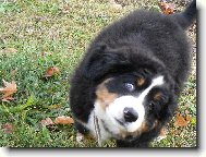 V�c u� to oko otev��t neum�m