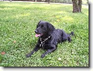 na�e nalezen� princezna