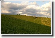 bez koment��e...